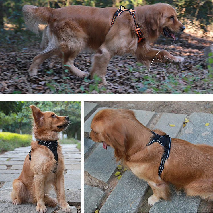 QUMY Dog Reflective Harness Adjustable - QUMY