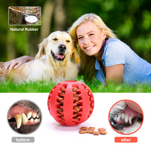 QUMY Dog Chew Toys Teeth Cleaning - QUMY