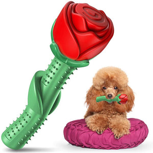 QUMY Dog Chew Toy Rose - QUMY