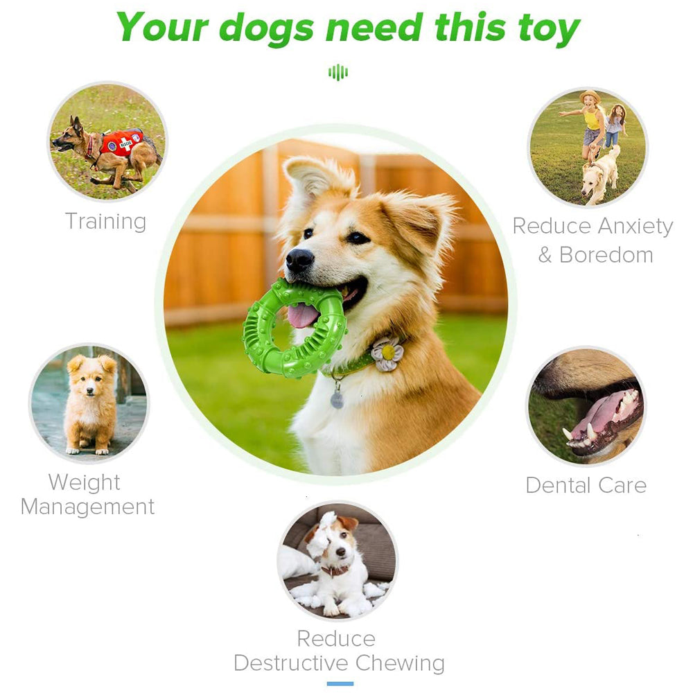 QUMY Dog Chew Toys Circular - QUMY