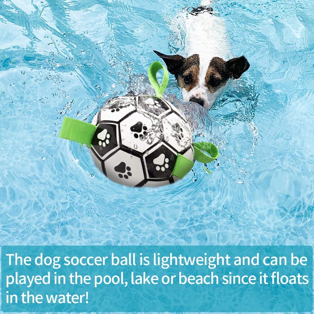 QUMY Dog Toys Soccer Ball - QUMY