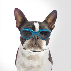 QUMY Dog Goggles - QUMY
