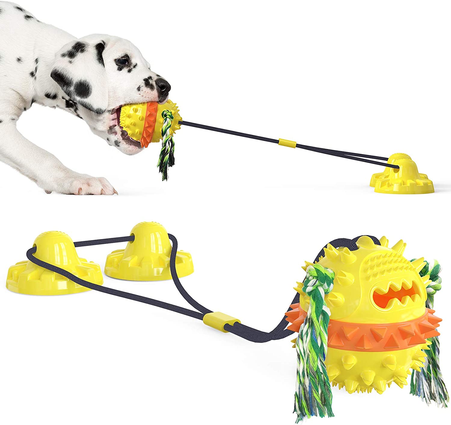 QUMY Double Suction Cup Dogs Toys - QUMY