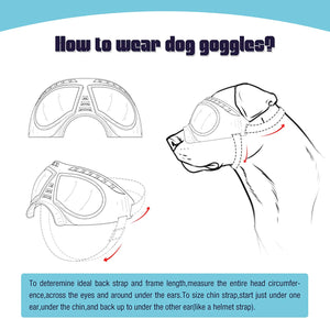 QUMY Dog Goggles Large Breed - QUMY
