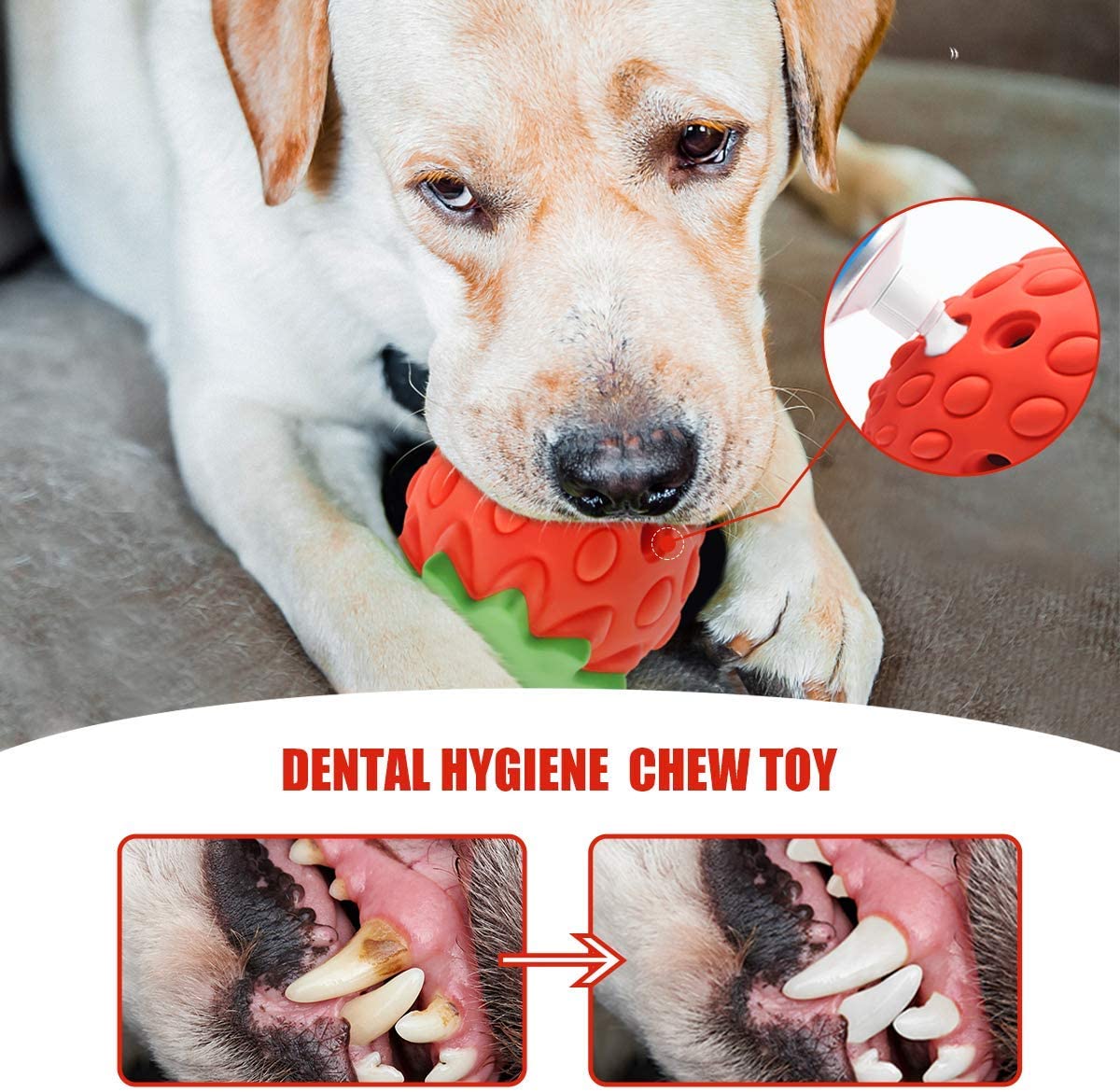  YOUMI Strawberry Dog Chew Toy for Aggressive Chewers, Durable  Puppy Feeder Toys for IQ Training & Mental Enrichment, Lovely Dog Toy :  Health & Household