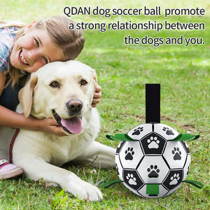 Jouet pour chien, balle de football pour chien, jouets interactifs