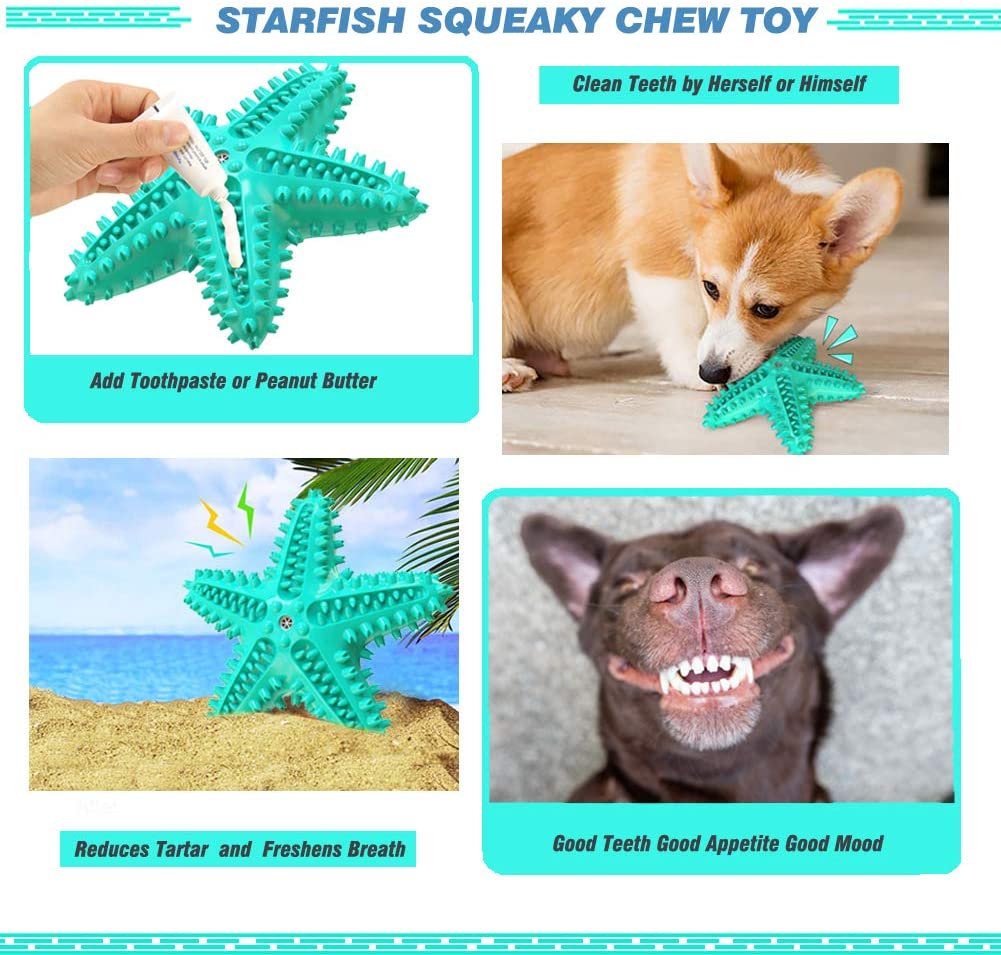 QUMY Dog Chew Toy Starfish Squeaky - QUMY