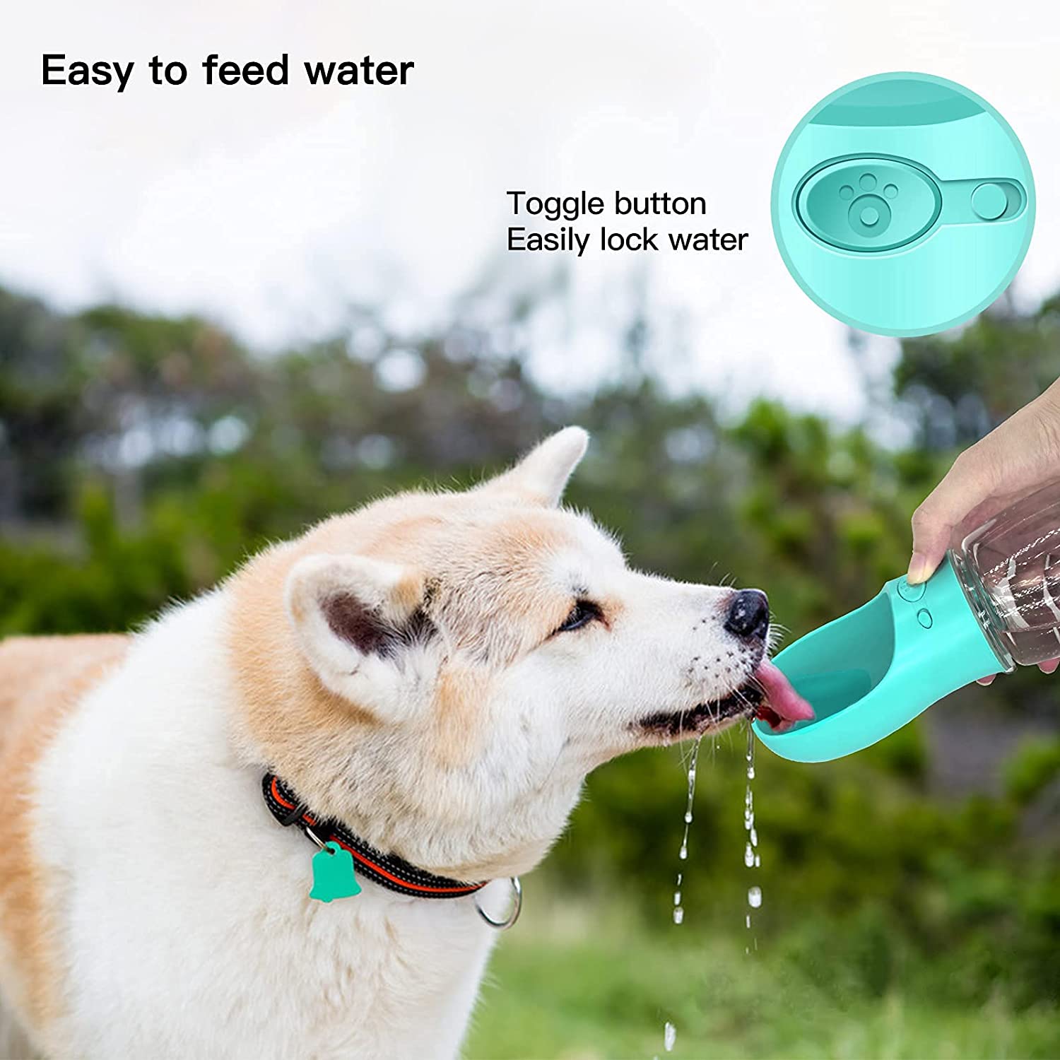 top rated dog water bottle