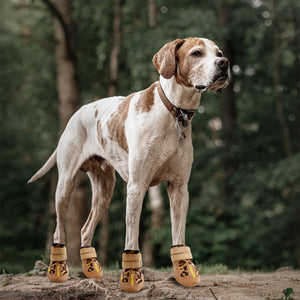 Dog shoes for mud Outlet