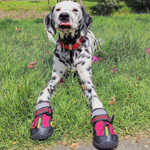 QUMY Dog Shoes for Medium Large Breed - QUMY