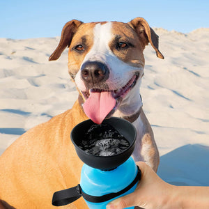 dog water bottle with tray