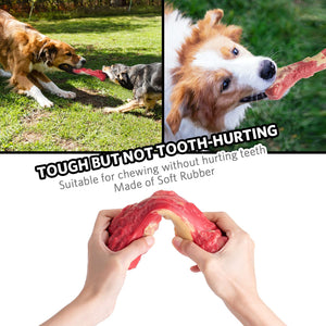 QUMY Dog Chew Toys Squeaky Bone - QUMY