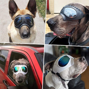 QUMY Dog Goggles Large Breed - QUMY