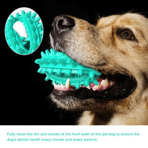 QUMY Dog Toys Toothbrush - QUMY