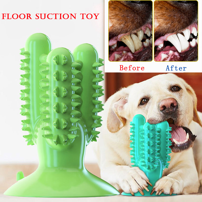 QUMY Dog Toothbrush Toys - QUMY