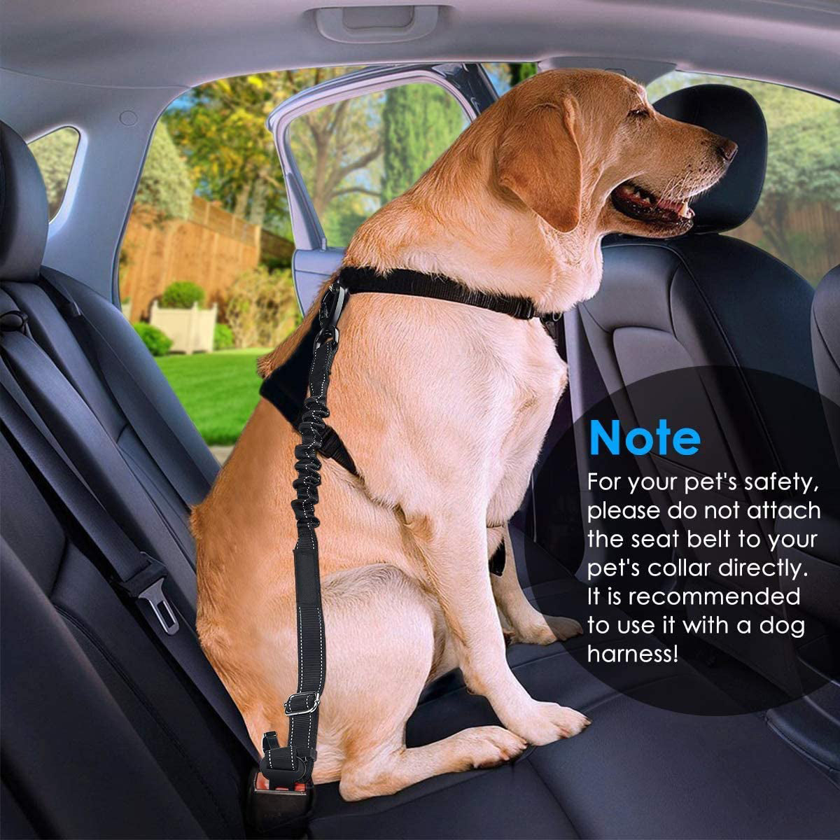 Système d'attache chien voiture True Love SECURY ceinture de sécurité