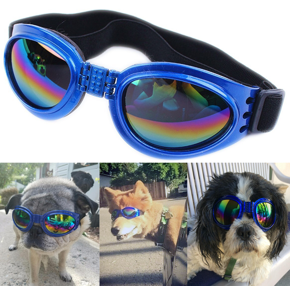 QUMY Dog Sunglasses - QUMY Pet