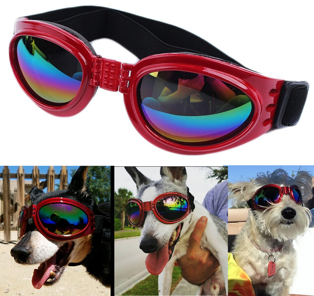 Red dog sunglasses hot sale