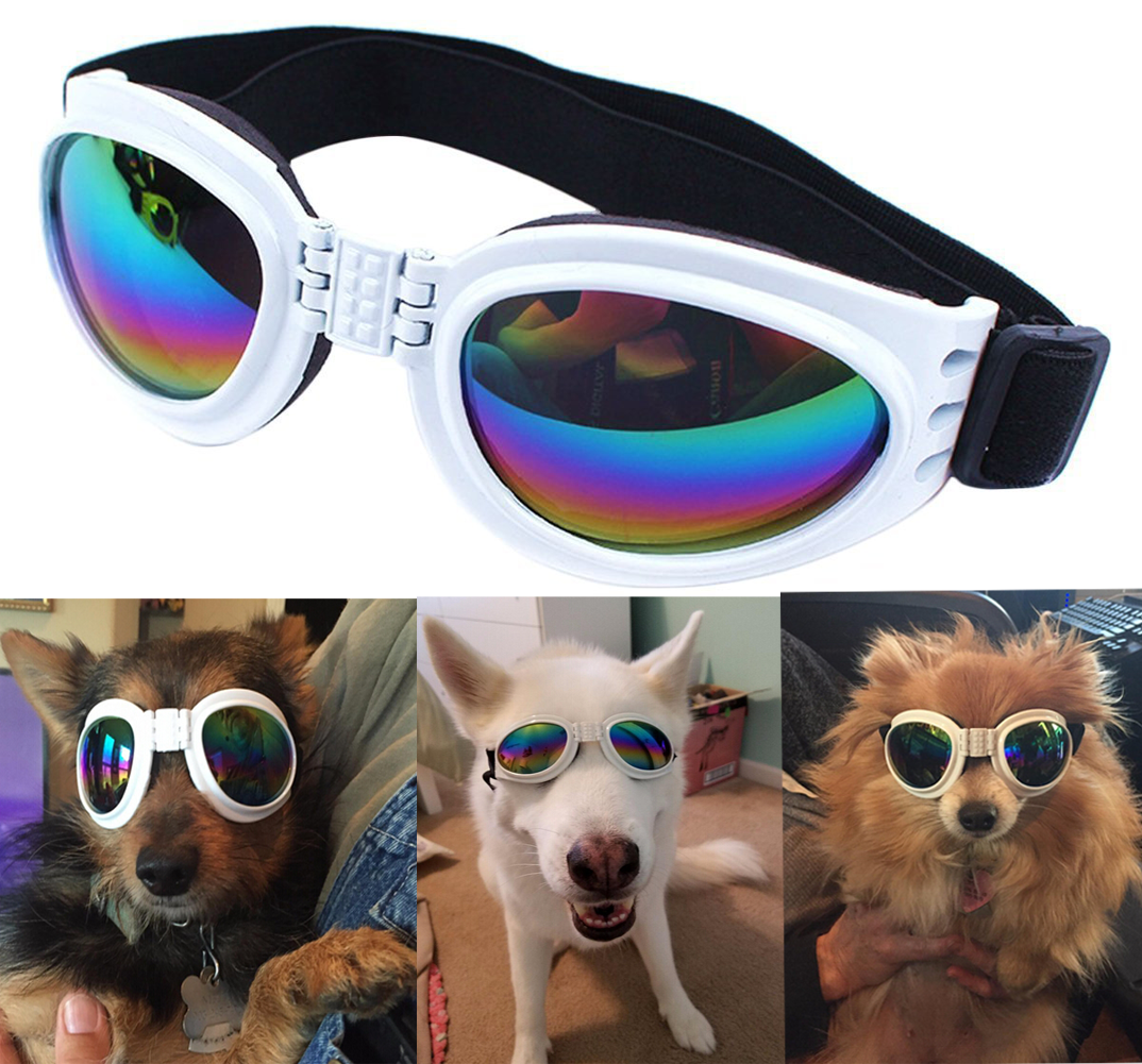 QUMY Dog Sunglasses - QUMY Pet